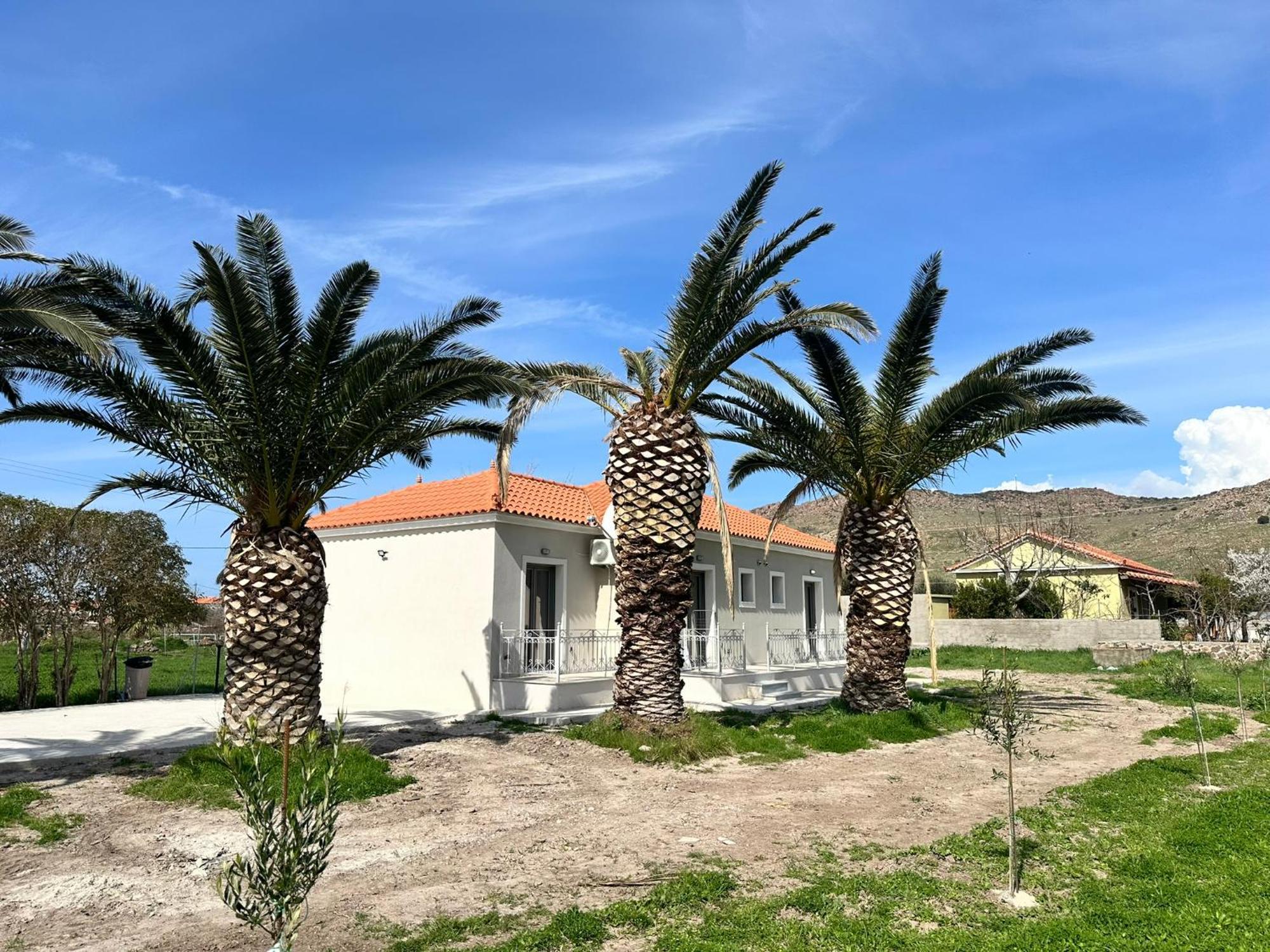 Ktimavita Apartment 1 Petra  Exterior photo